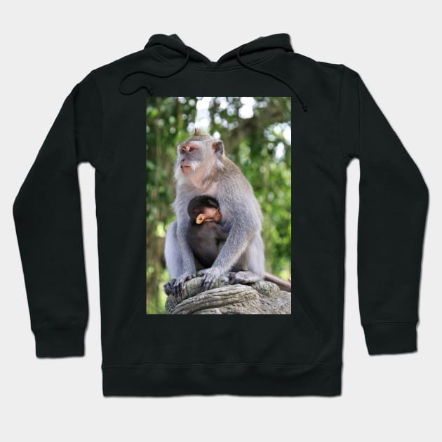 a monkey and baby sitting on a branch in ubud in bali Hoodie by Geoff79